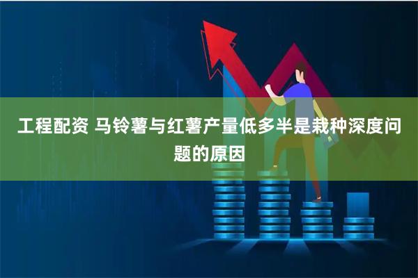工程配资 马铃薯与红薯产量低多半是栽种深度问题的原因