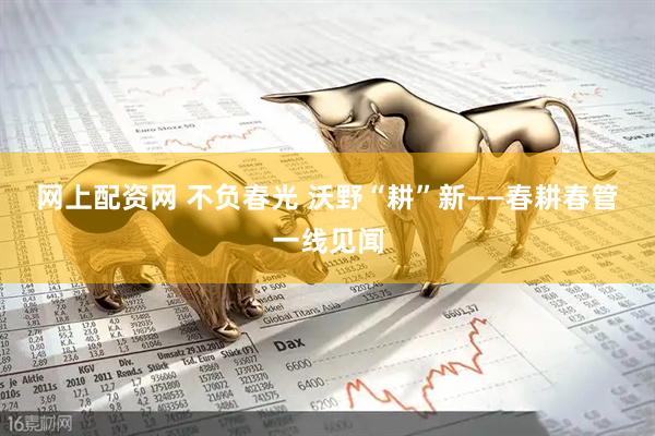 网上配资网 不负春光 沃野“耕”新——春耕春管一线见闻