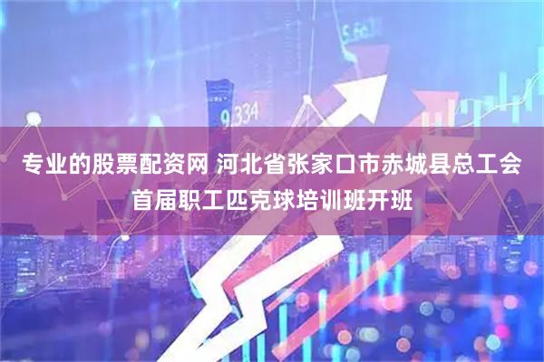 专业的股票配资网 河北省张家口市赤城县总工会首届职工匹克球培训班开班